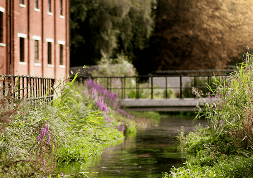 Bombay Sapphire Distillery at Laverstoke Mill