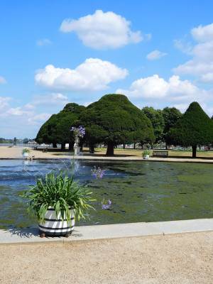 PMA visit to Hampton Court on 11 July 2018