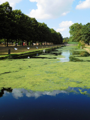 PMA visit to Hampton Court on 11 July 2018