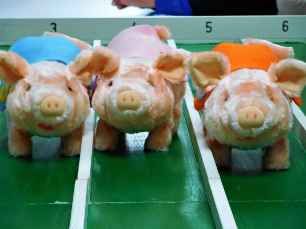 AGM and Pig Race Event 2019