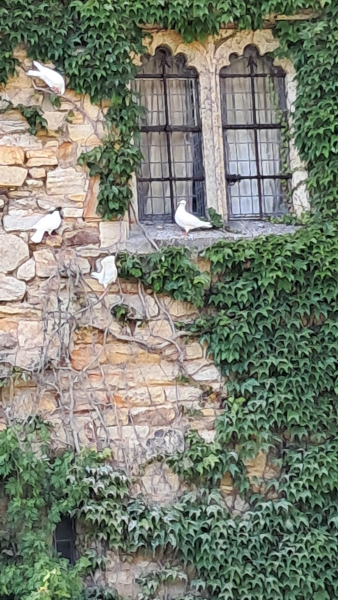 Hever Castle Coach Trip - 25th June 2026